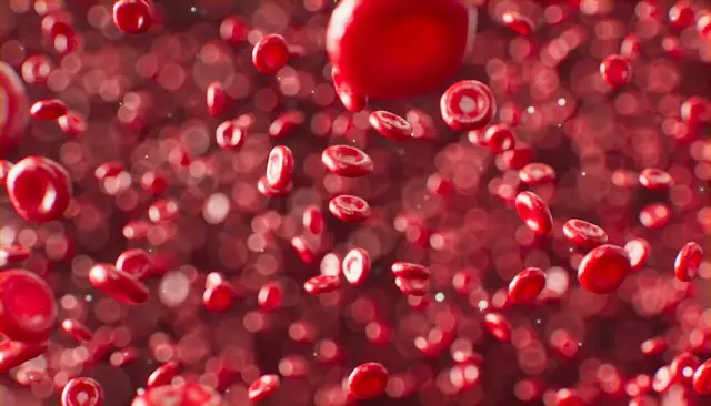Rote Blutkörperchen schweben vor unscharfem rotem Hintergrund als Bezug zur Doudna-Technologie von Scribe Therapeutics