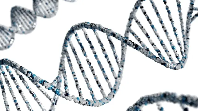 3D-Illustration einer blauen DNA-Doppelhelix vor weißem Hintergrund im Kontext der Kursrally beim Biotech-Unternehmen ABIVAX