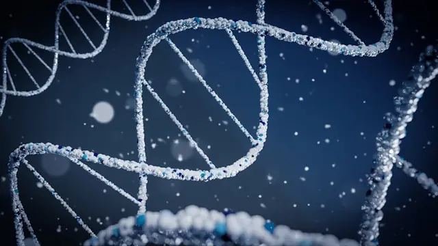 Dreidimensionale Darstellung mehrerer DNA-Doppelhelices vor dunkelblauem Hintergrund als Bezug zur Synthesearbeit von Twist Bioscience
