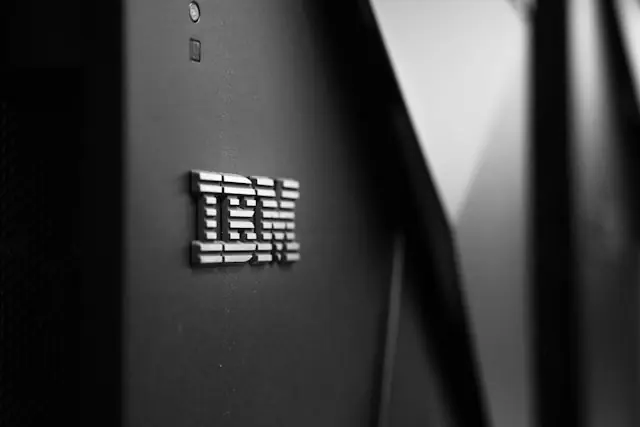 Silbernes IBM-Logo auf dem schwarzen Gehäuse eines Servers als Bezug zum historischen Kurssturz des Technologiekonzerns