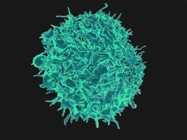 Polaryx Therapeutics debütierte 2026 per Direct Listing an der Nasdaq. Das Biotech-Unternehmen fokussiert sich auf seltene lysosomale Speicherkrankheiten bei Kindern und entwickelt mit PLX-200 seinen führenden Wirkstoffkandidaten.