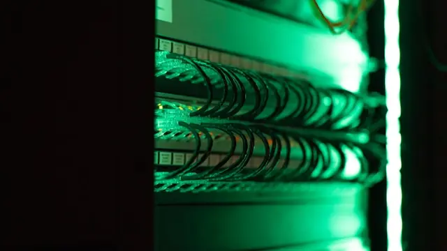 Dicht bestückte Netzwerkkabel in einem Serverrack, grün beleuchtet, als Verweis auf die KI-Infrastruktur von CoreWeave vor dem Börsengang.