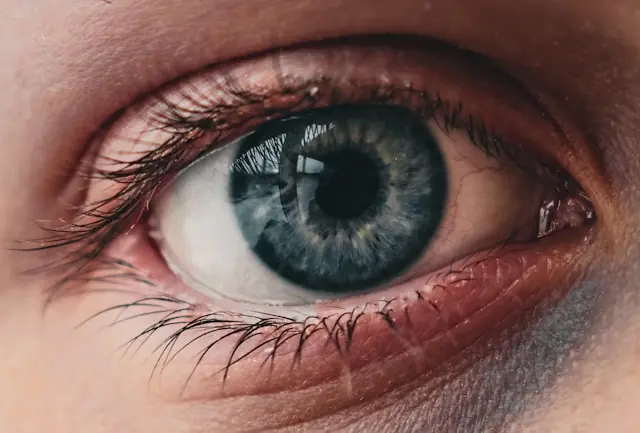 2026 ging SpyGlass Pharma an der Nasdaq an den Start. Hier finden Sie alle Informationen zum Börsengang, zur Bewertung sowie zur Pipeline des auf Augenheilkunde spezialisierten Unternehmens mit Langzeit-Wirkstofffreisetzung.